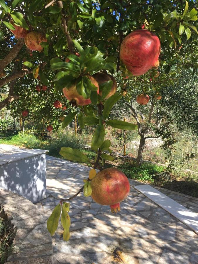Guest House Solive Himare Quarto foto