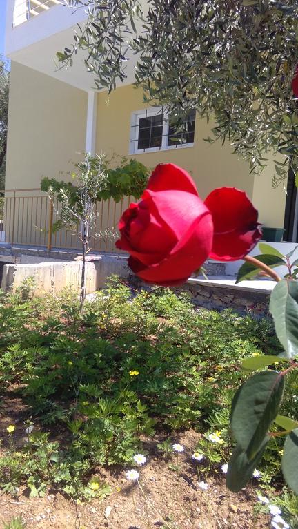 Guest House Solive Himare Exterior foto